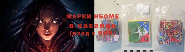 шишки Нязепетровск