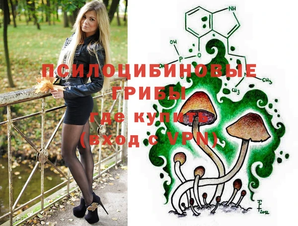 крисы Нягань