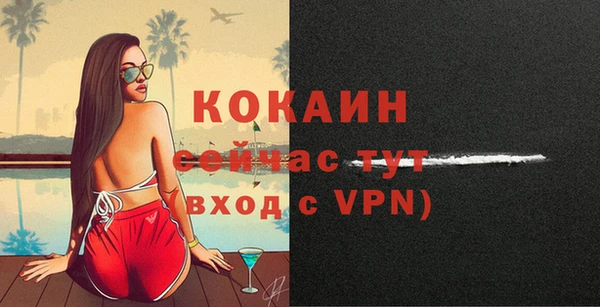 ПСИЛОЦИБИНОВЫЕ ГРИБЫ Няндома