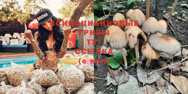 крисы Нягань