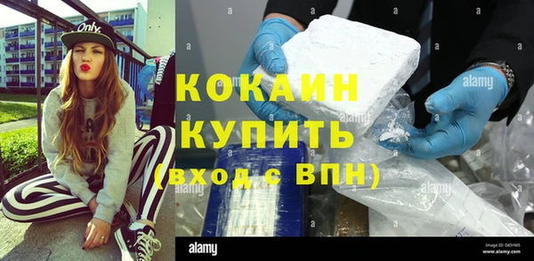 ПСИЛОЦИБИНОВЫЕ ГРИБЫ Няндома