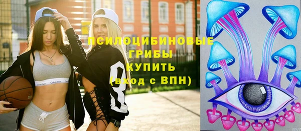 ПСИЛОЦИБИНОВЫЕ ГРИБЫ Няндома