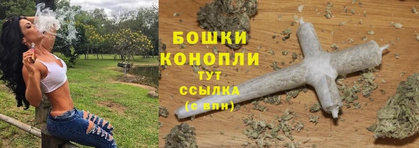 крисы Нягань