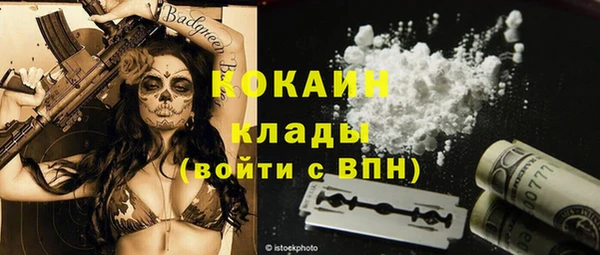 шишки Нязепетровск