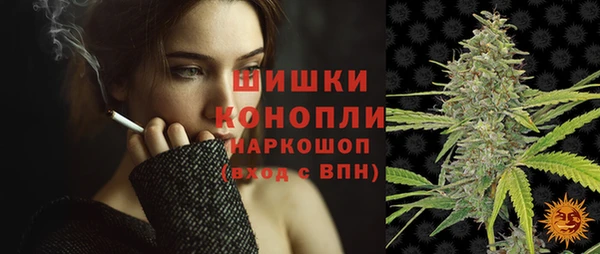 шишки Нязепетровск