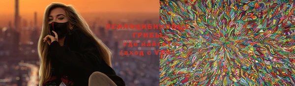 шишки Нязепетровск