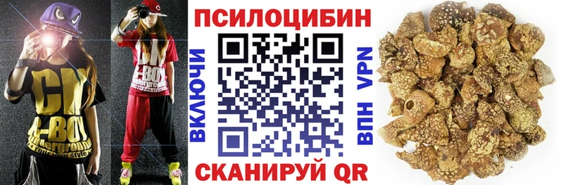 купить закладку  Серафимович  Псилоцибиновые грибы ЛСД 